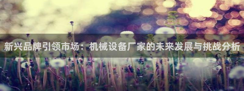 鸿运旧货交易平台