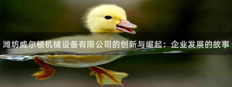 琥珀鸿运是个国际平台吗