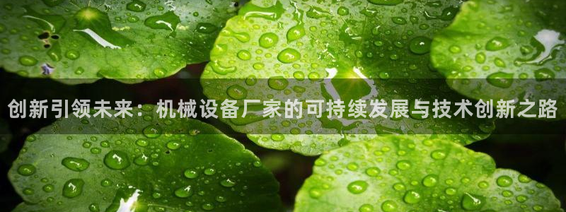 游戏鸿运平台网站