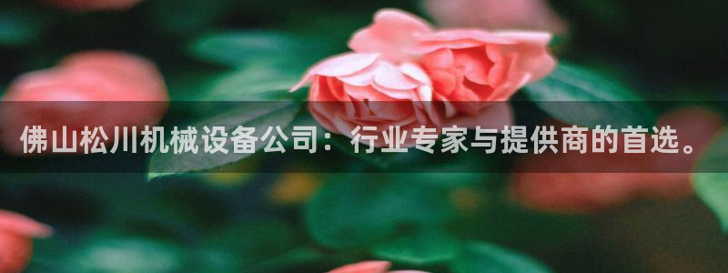 鸿运平台是大平台吗