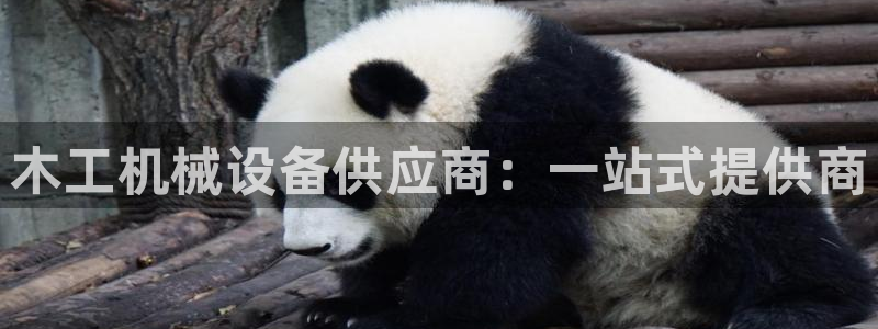 大发鸿运彩票平台