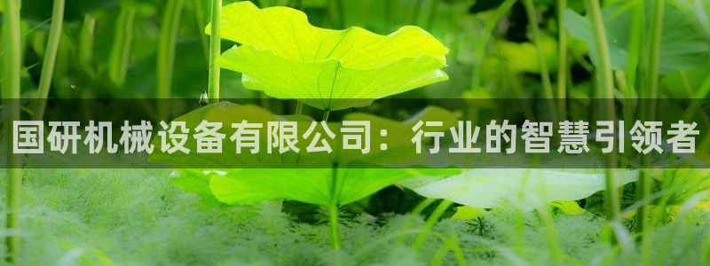 鸿运国际平台网址