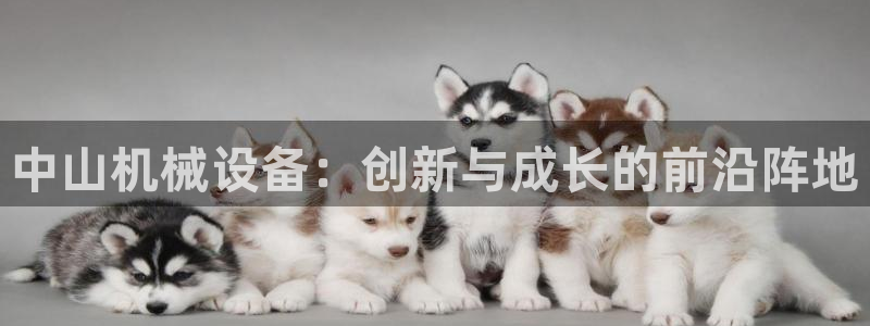 鸿运合拍是什么平台