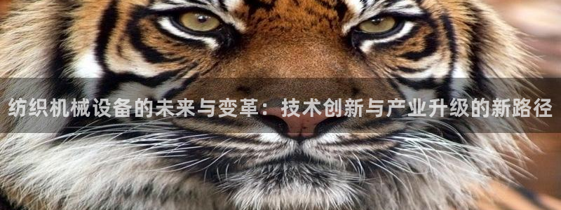 鸿运财富是什么平台