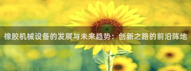 鸿运到平台在线客服