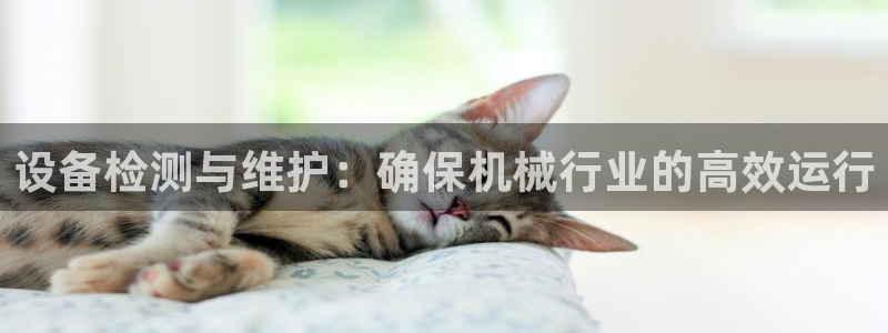 香港鸿运投资平台