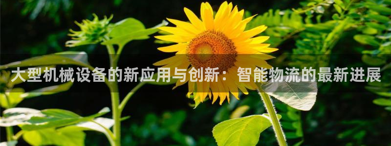 鸿运外汇平台