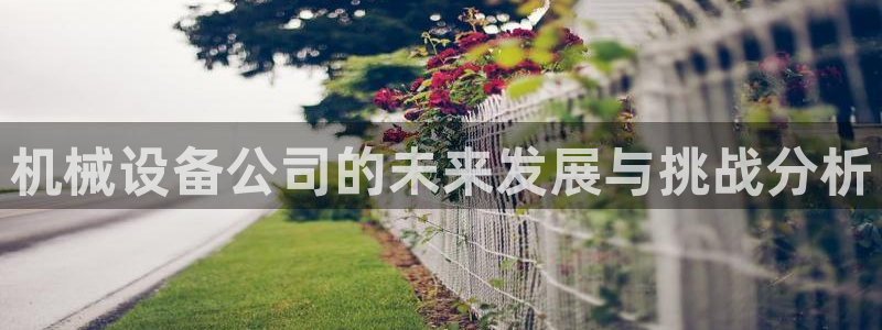 鸿运当头平台画