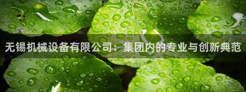 鸿运来彩票平台