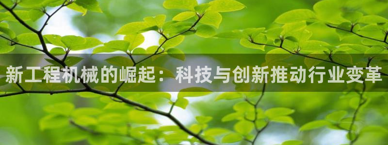 鸿运国际平台咋样