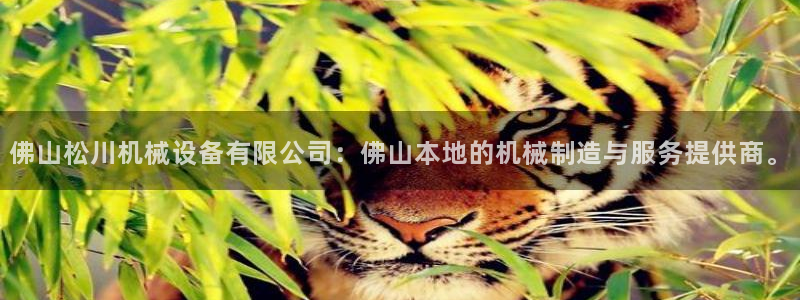 鸿运当头平台
