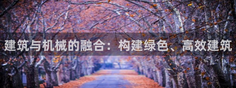 鸿运手机棋牌平台
