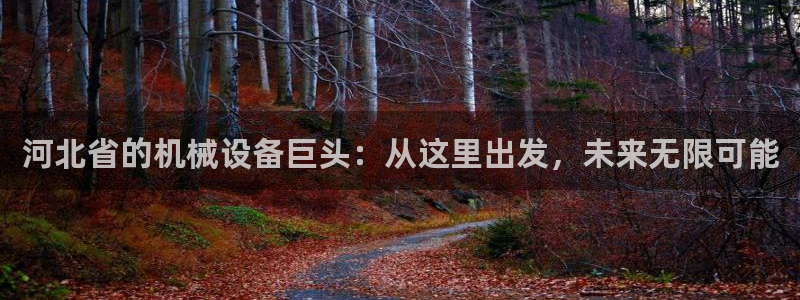 鸿运集团平台招聘