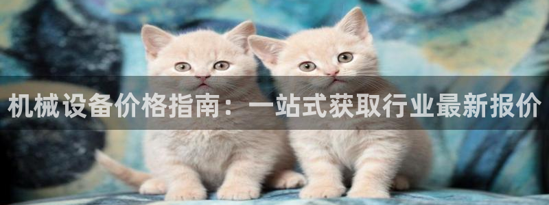 鸿运赌城开户平台