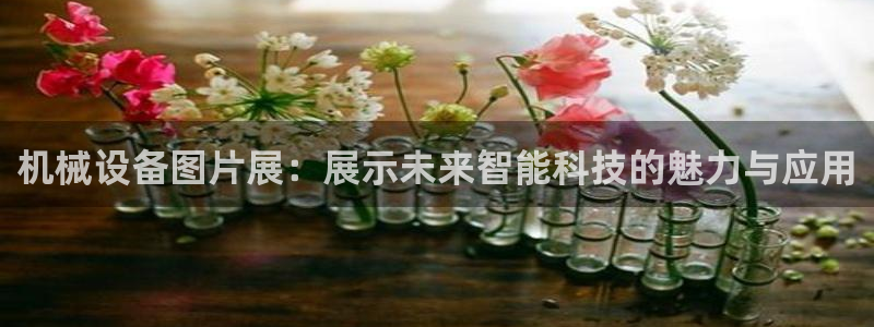鸿运信任平台