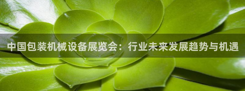 鸿运平台下载
