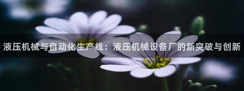 鸿运798平台