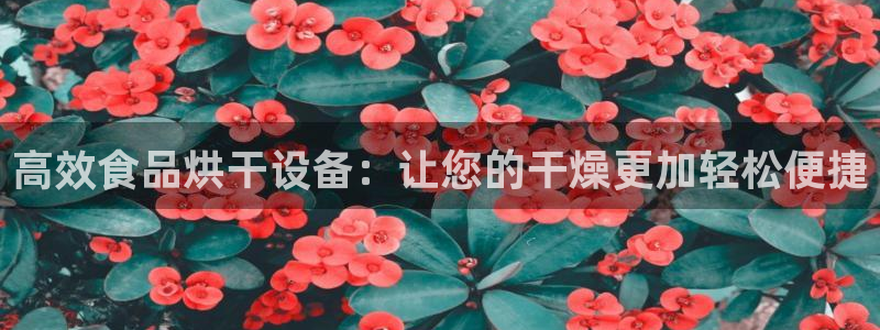 鸿运牛蹄团购平台