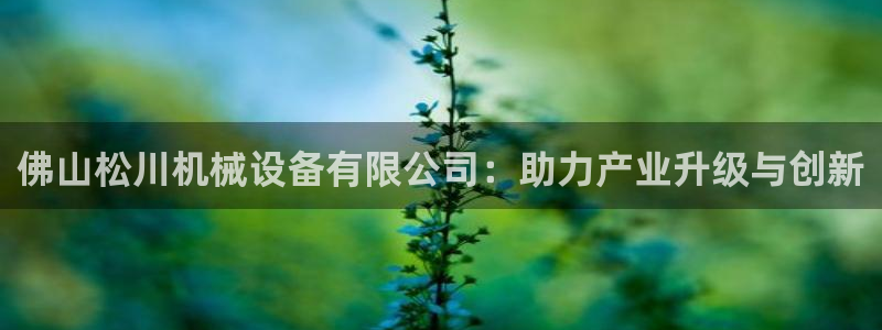 鸿运官网平台