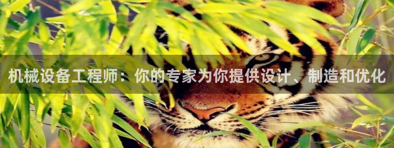 鸿运平台刷单