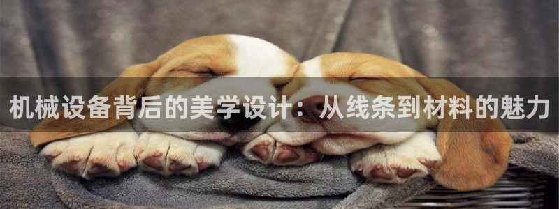 鸿运到平台
