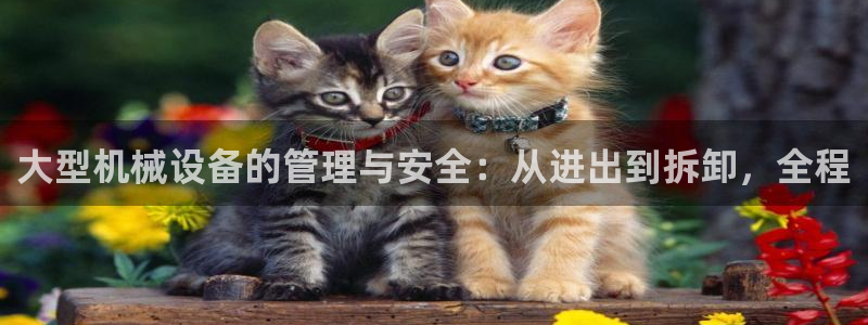 鸿运赌城平台