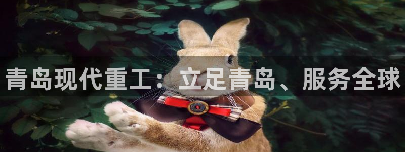 鸿运下注平台