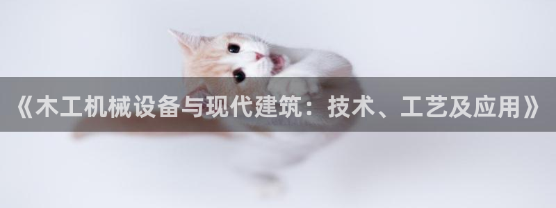 鸿运合拍是什么平台