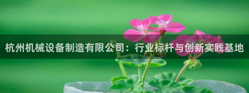 鸿运平台代理理