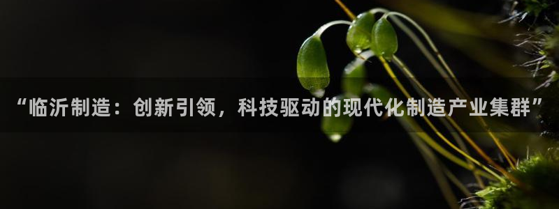 琥珀鸿运平台怎么提现