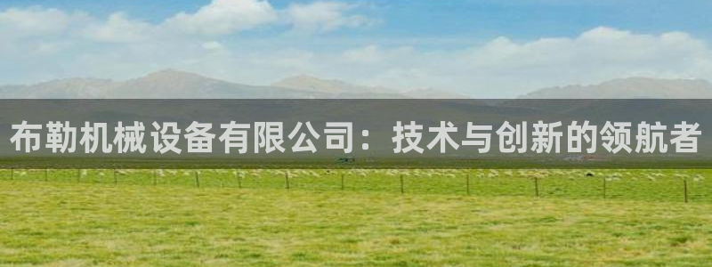 鸿运游戏平台投注
