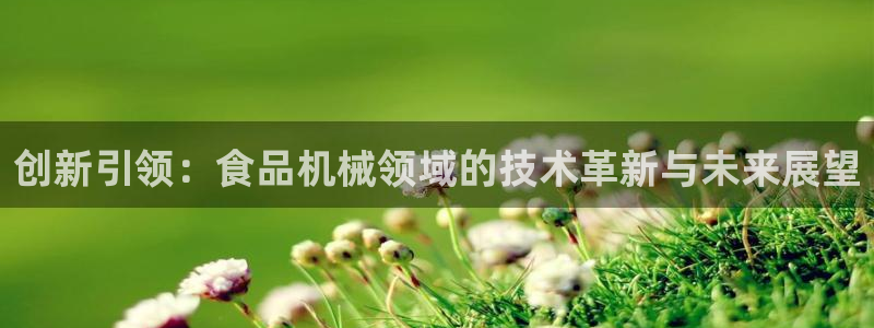 鸿运平台投资诈骗事件