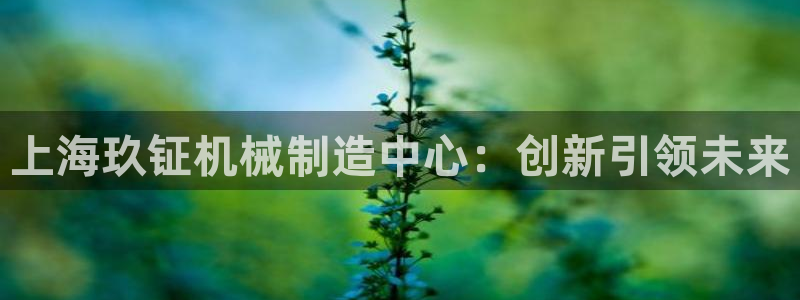 鸿运专业购彩平台网止