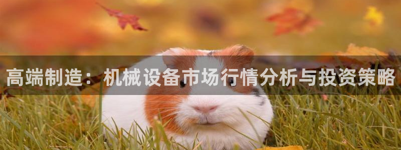 鸿运牛骨服务平台