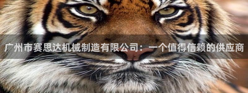 鸿运宝投资理财平台