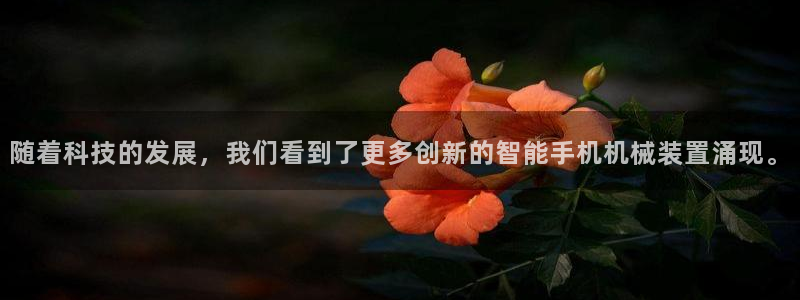 九九鸿运平台