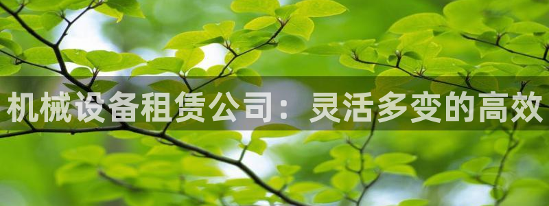 鸿运兄弟创造平台