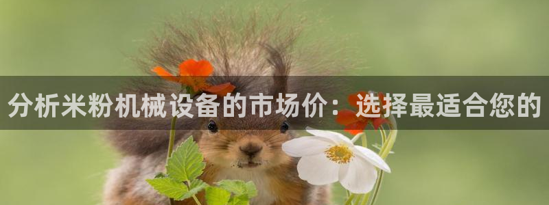 鸿运app是什么平台