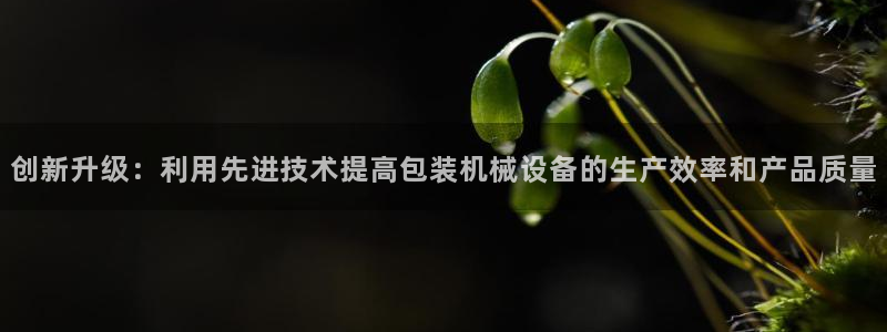 鸿运微交易平台