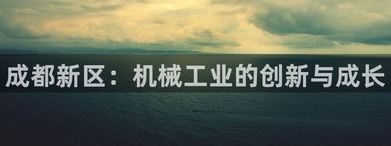 鸿运来补单平台