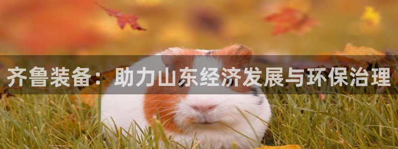 鸿运宝理财平台