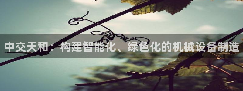 琥珀鸿运平台