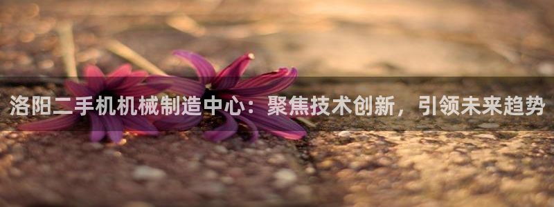 鸿运国际平台网址