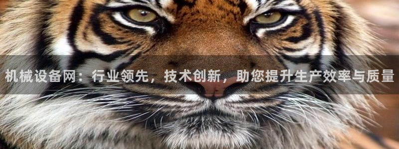 鸿运是黑平台吗