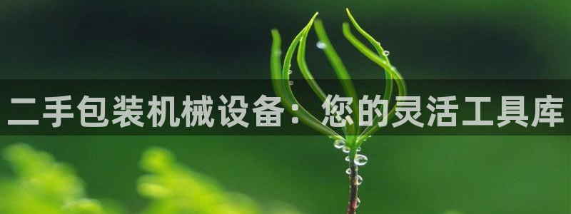 鸿运平台代理台