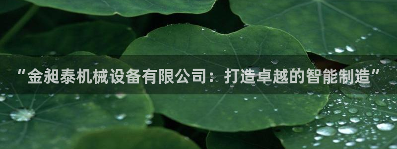 被鸿运平台骗