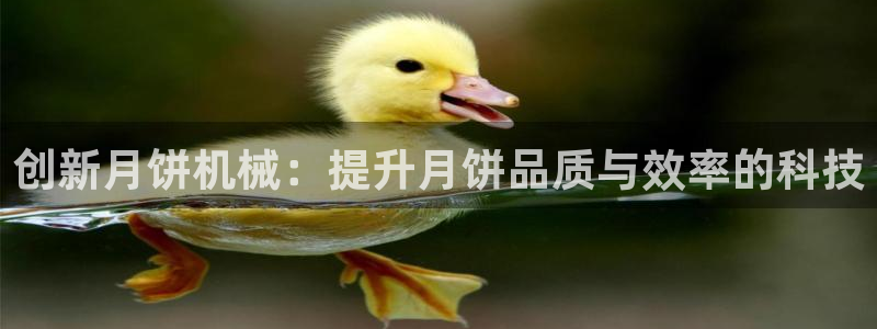 鸿运网上平台