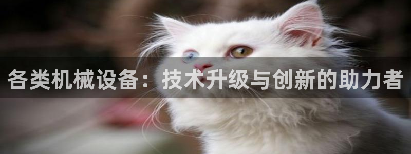 鸿运外汇平台