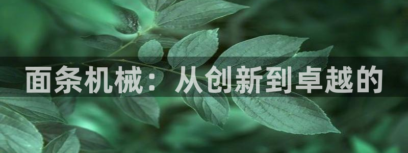 鸿运app直播平台