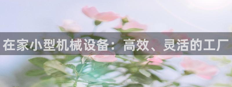 鸿运当头借款平台